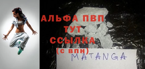 прущие грибы Ельня