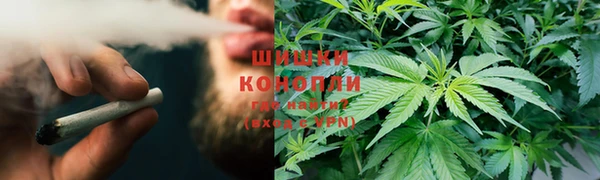 гашик Арсеньев