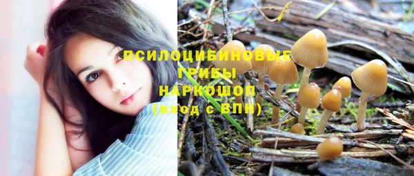 гашик Арсеньев