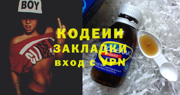 гашик Арсеньев